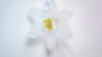 Extreme-Care-For-The-Boldest-Blondes-Blond-Absolu-Article-02-Kerastase